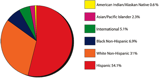 Student Diversity